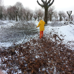 Camping du Lac de Bournazel, Seilhac, Corrèze | Parfait pour sejour en famille